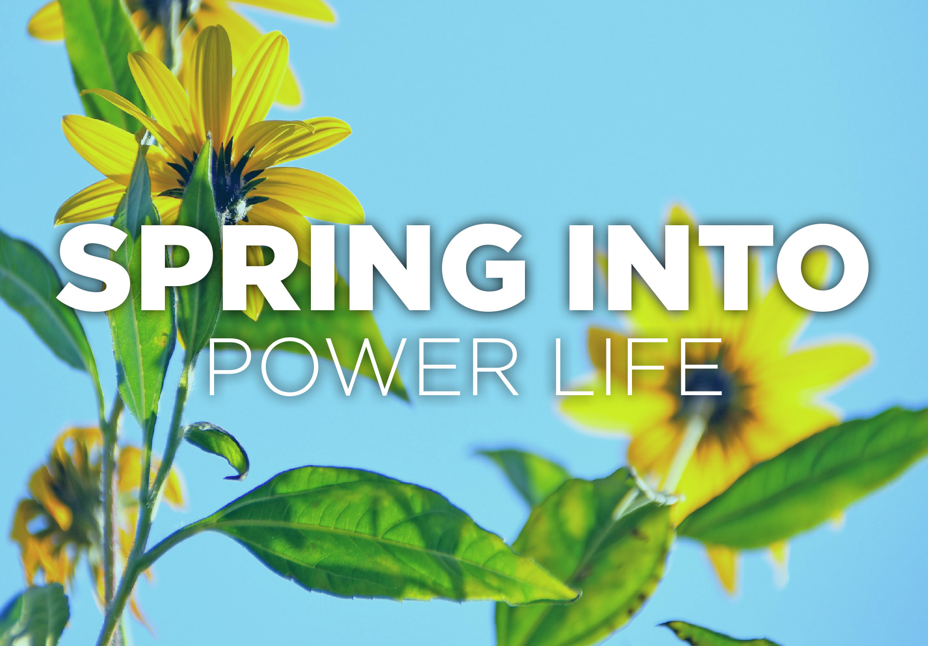 Spring Into Power Life: Earth Day Flow